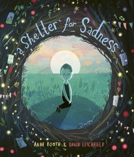 Book Cover for Shelter for Sadness by Anne Booth