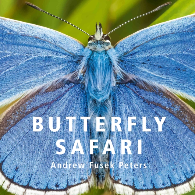 Book Cover for Butterfly Safari by ndrew Fusek Peters