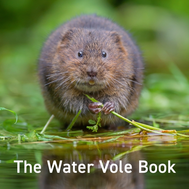 Book Cover for Water Vole Book by ugh Warwick