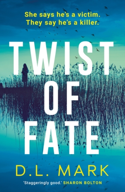 Book Cover for Twist of Fate by Mark D. L. Mark