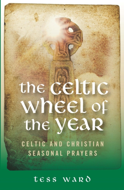 Book Cover for Celtic Wheel of the Year, The by Tess Ward