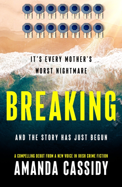 Book Cover for Breaking by Amanda Cassidy