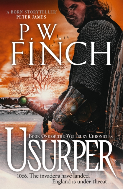 Book Cover for Usurper by P. W. Finch