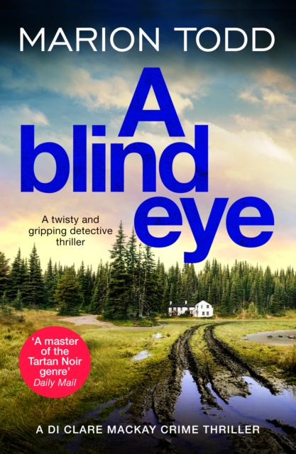 Book Cover for Blind Eye by Marion Todd