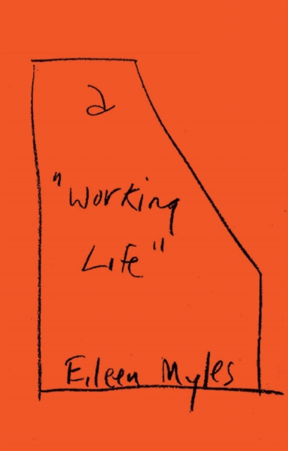 Book Cover for a &quote;Working Life&quote; by Eileen Myles