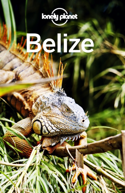 Book Cover for Lonely Planet Belize by Paul Harding