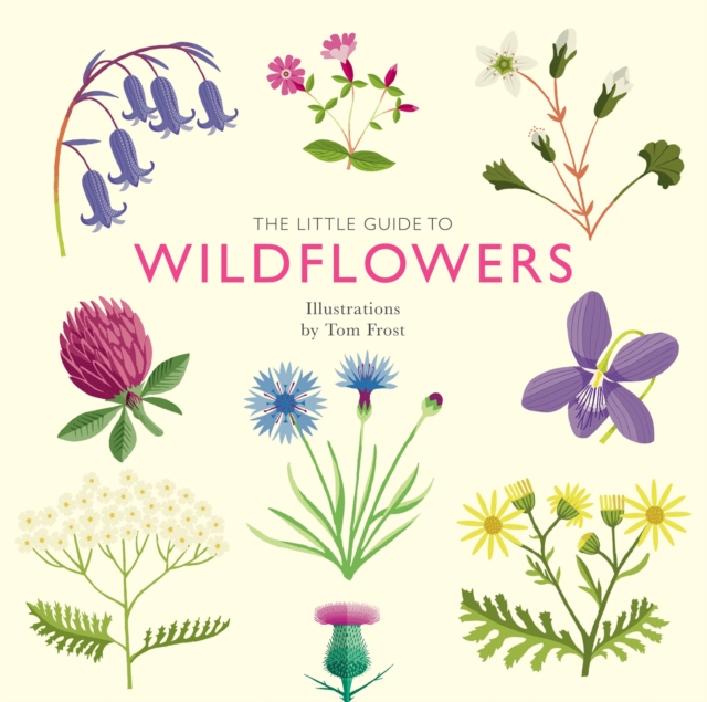 Book Cover for Little Guide to Wildflowers by Alison Davies