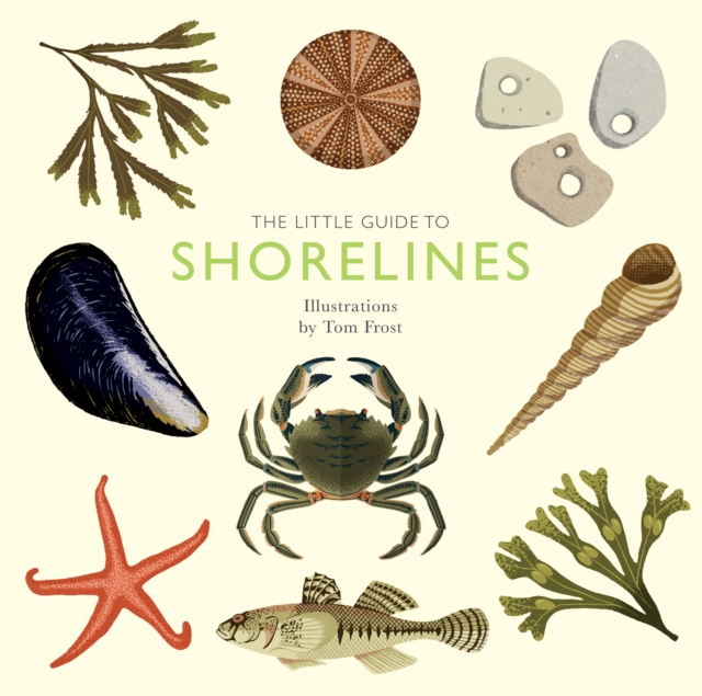 Book Cover for Little Guide to Shorelines by Alison Davies