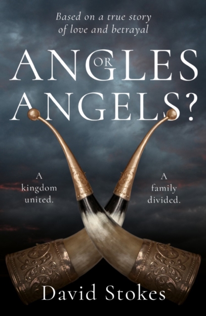 Book Cover for Angles or Angels? by David Stokes