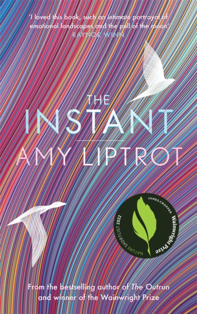 Book Cover for Instant by Amy Liptrot