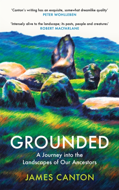 Book Cover for Grounded by James Canton