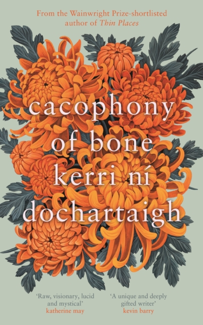 Book Cover for Cacophony of Bone by Kerri ni Dochartaigh