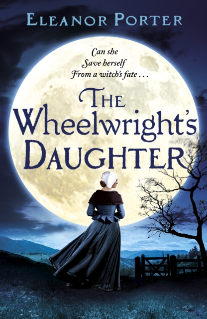 Book Cover for Wheelwright's Daughter by Eleanor Porter