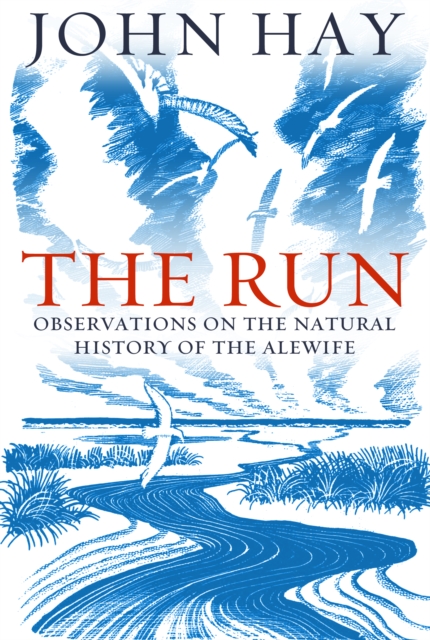 Book Cover for Run by John Hay