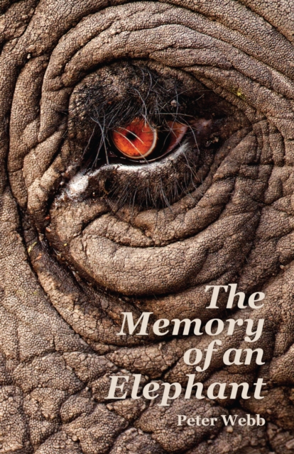 Book Cover for Memory of an Elephant by Peter Webb