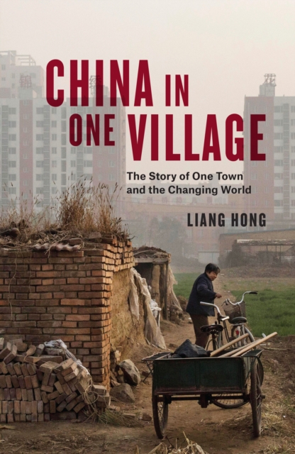 Book Cover for China in One Village by Hong, Liang