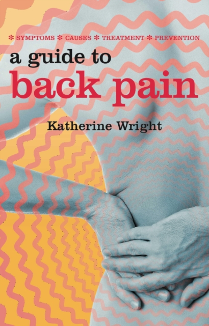 Book Cover for Guide to Back Pain by Wright, Katherine