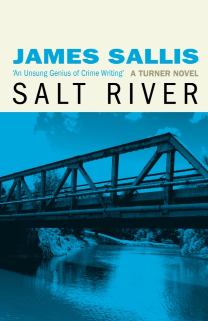 Book Cover for Salt River by James Sallis