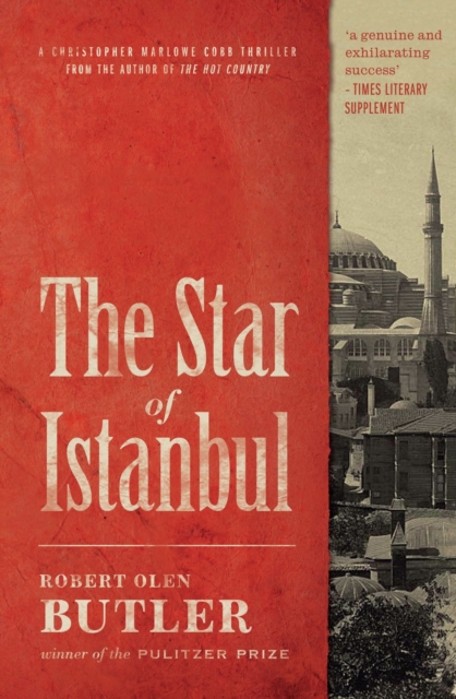 Book Cover for Star of Istanbul by Robert Olen Butler