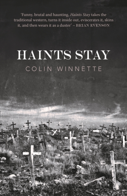 Book Cover for Haints Stay by Colin Winnette