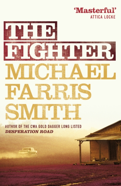 Book Cover for Fighter by Michael Farris Smith