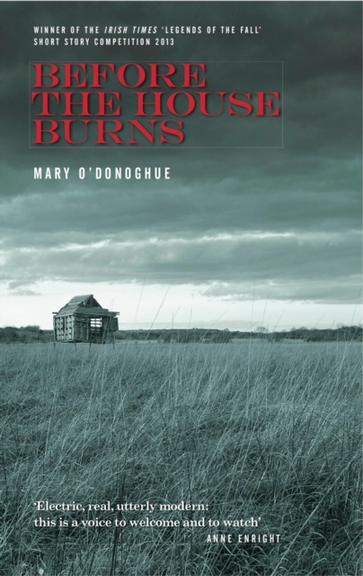 Book Cover for Before the House Burns by Mary O'Donoghue