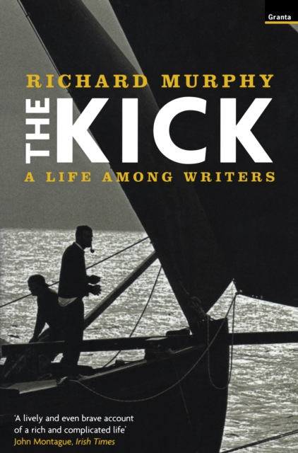 Book Cover for Kick by Richard Murphy