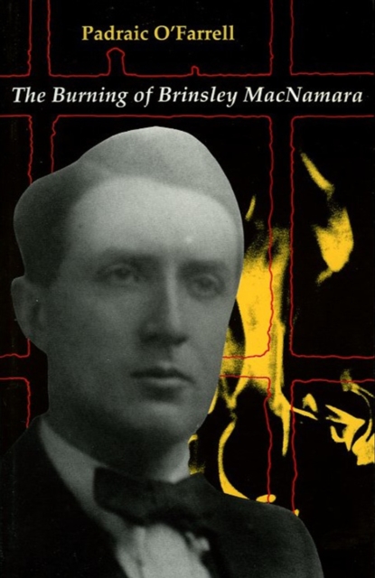 Book Cover for Burning of Brinseley MacNamara by Padraic O' Farrell