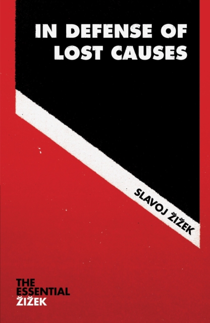 Book Cover for In Defense of Lost Causes by Slavoj Zizek