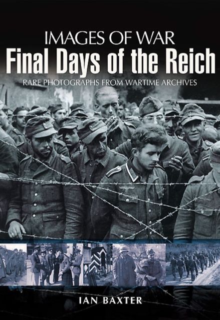 Book Cover for Final Days of the Reich by Ian Baxter