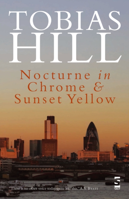 Book Cover for Nocturne in Chrome & Sunset Yellow by Tobias Hill