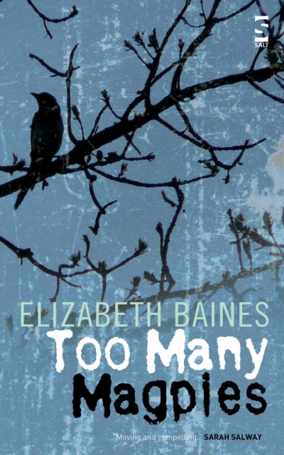 Book Cover for Too Many Magpies by Elizabeth Baines