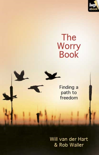 Book Cover for Worry Book by Wilson, Rachel