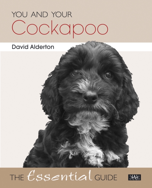 Book Cover for You and Your Cockapoo by David Alderton