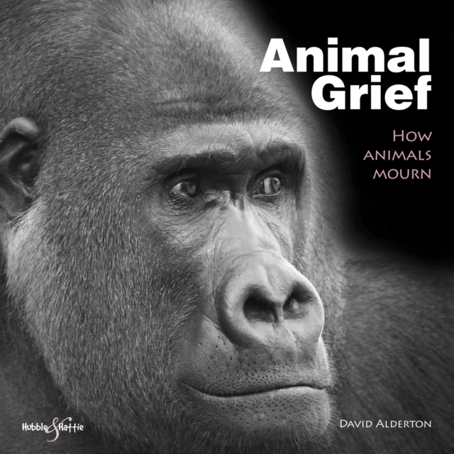Book Cover for Animal Grief by David Alderton