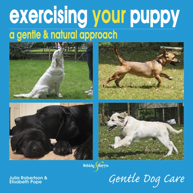 Book Cover for Exercising your puppy by Julia Robertson