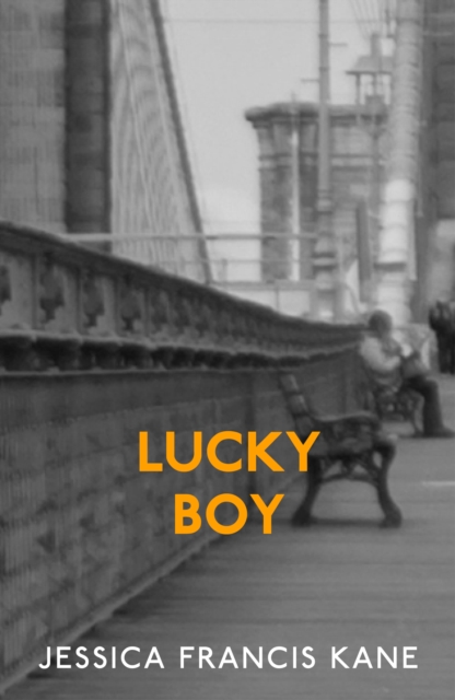 Book Cover for Lucky Boy by Jessica Francis Kane