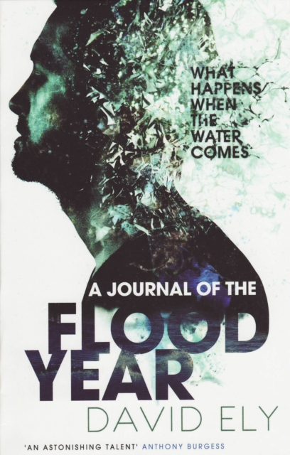 Book Cover for Journal Of The Flood Year by David Ely