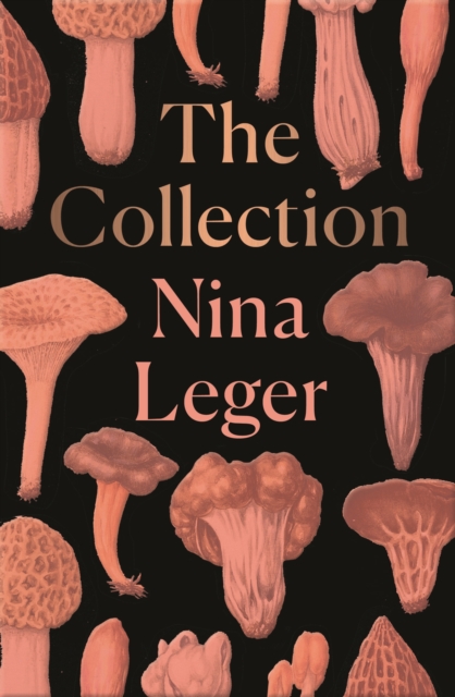 Book Cover for Collection by Nina Leger