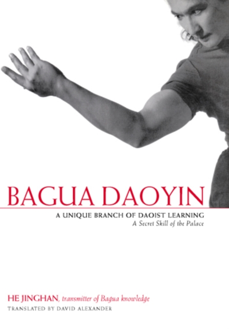 Book Cover for Bagua Daoyin by David Alexander