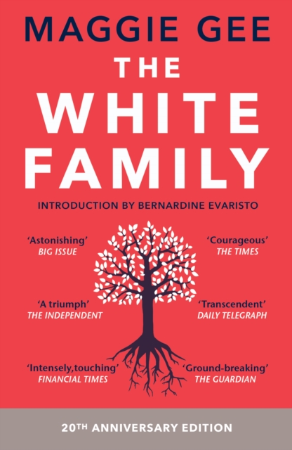 Book Cover for White Family by Maggie Gee