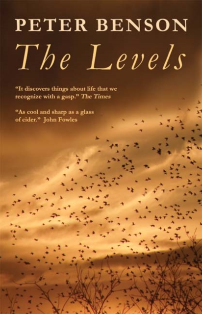 Book Cover for Levels by Peter Benson