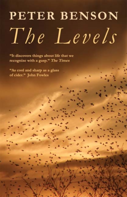 Book Cover for Levels by Benson, Peter