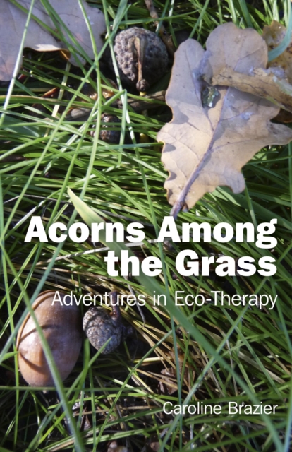 Book Cover for Acorns Among the Grass by Caroline Brazier