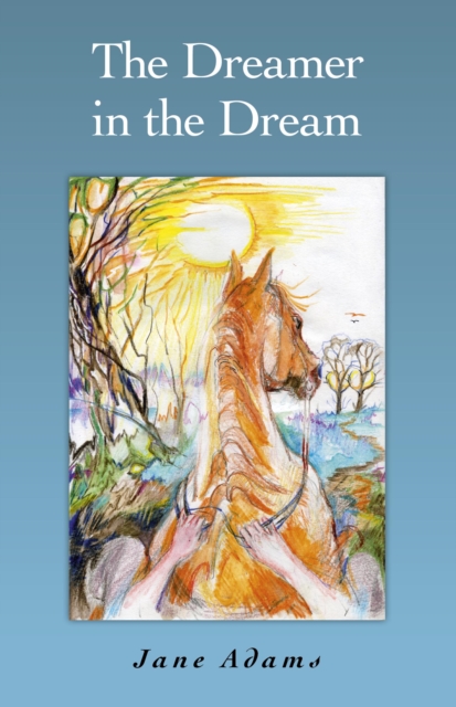Book Cover for Dreamer in the Dream by Jane Adams