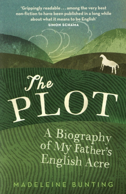 Book Cover for Plot by Bunting, Madeleine