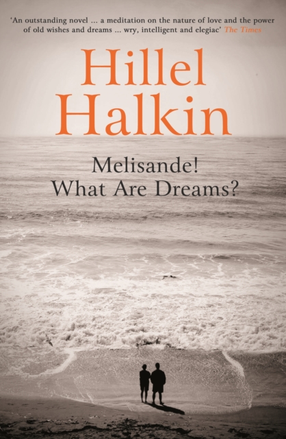 Book Cover for Melisande! What Are Dreams? by Hillel Halkin