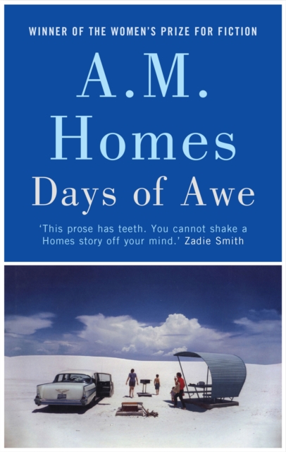 Book Cover for Days of Awe by A.M. Homes