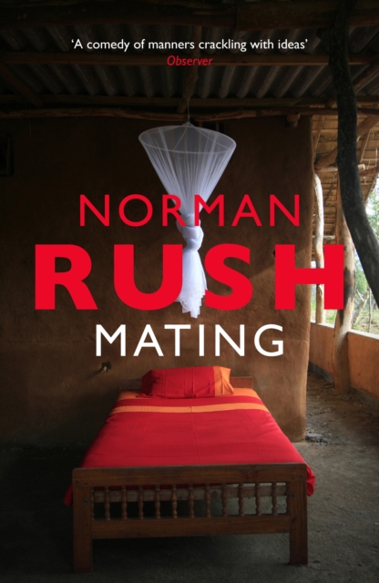 Book Cover for Mating by Norman Rush