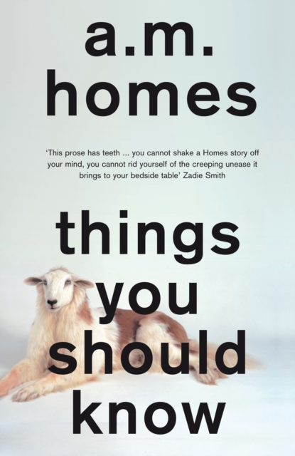 Book Cover for Things You Should Know by A.M. Homes